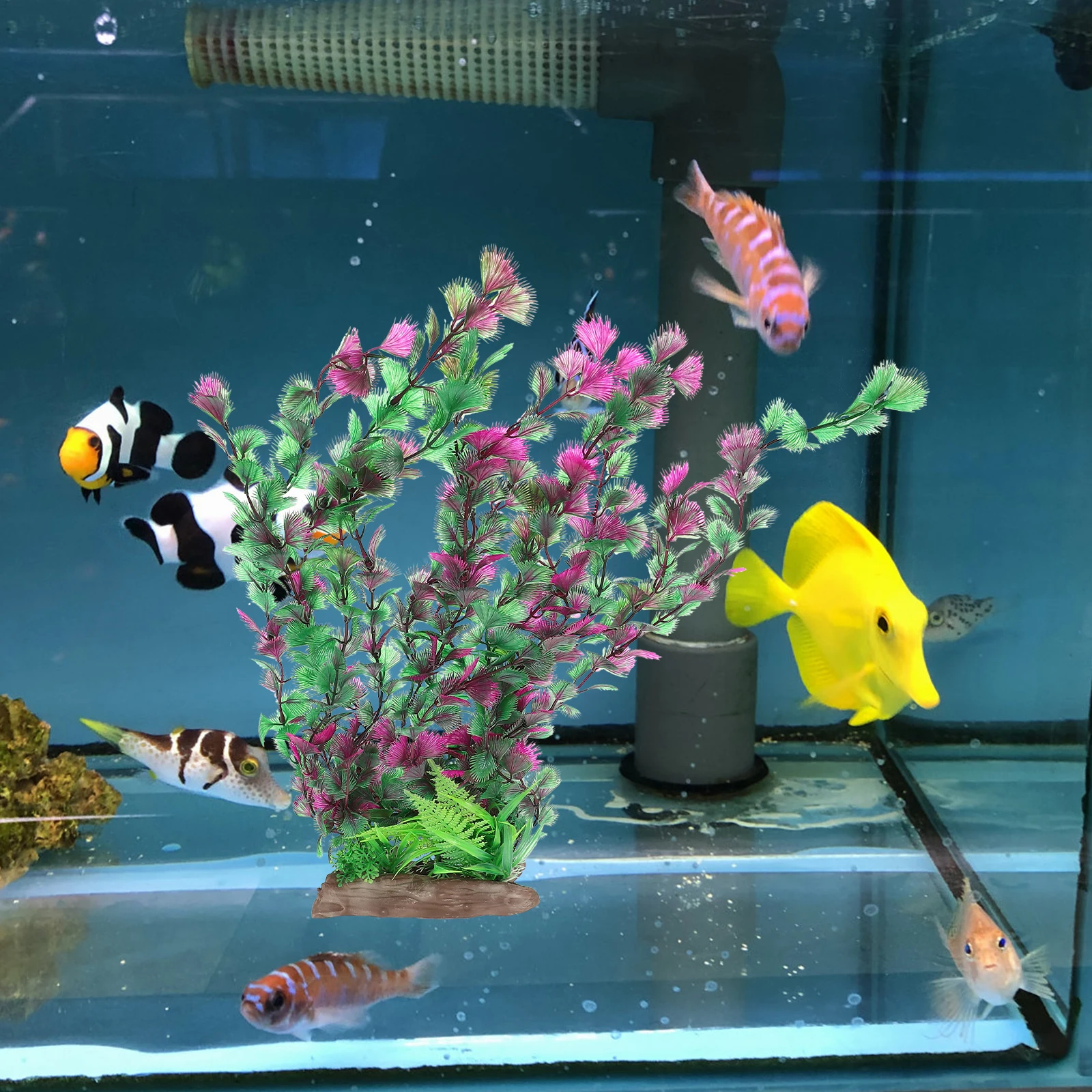 Water Plants Decoration Accessories Artificial Aquatic Aquarium Decorations Fake Fish Tank Grass for Underwater
Water Plants Decoration Accessories Artificial Aquatic Aquarium Decorations Fake Fish Tank Grass for Underwater