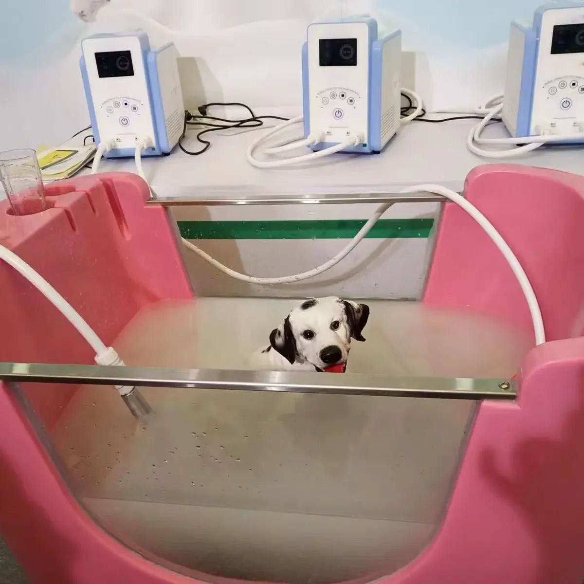 Professional Pet Wash Machine Cat SPA Bathing Machine Eterinary Equipment Pet Clinic Cat Dog Bubble Strong Nano Bubble Pet Wash
Professional Pet Wash Machine Cat SPA Bathing Machine Eterinary Equipment Pet Clinic Cat Dog Bubble Strong Nano Bubble Pet Wash