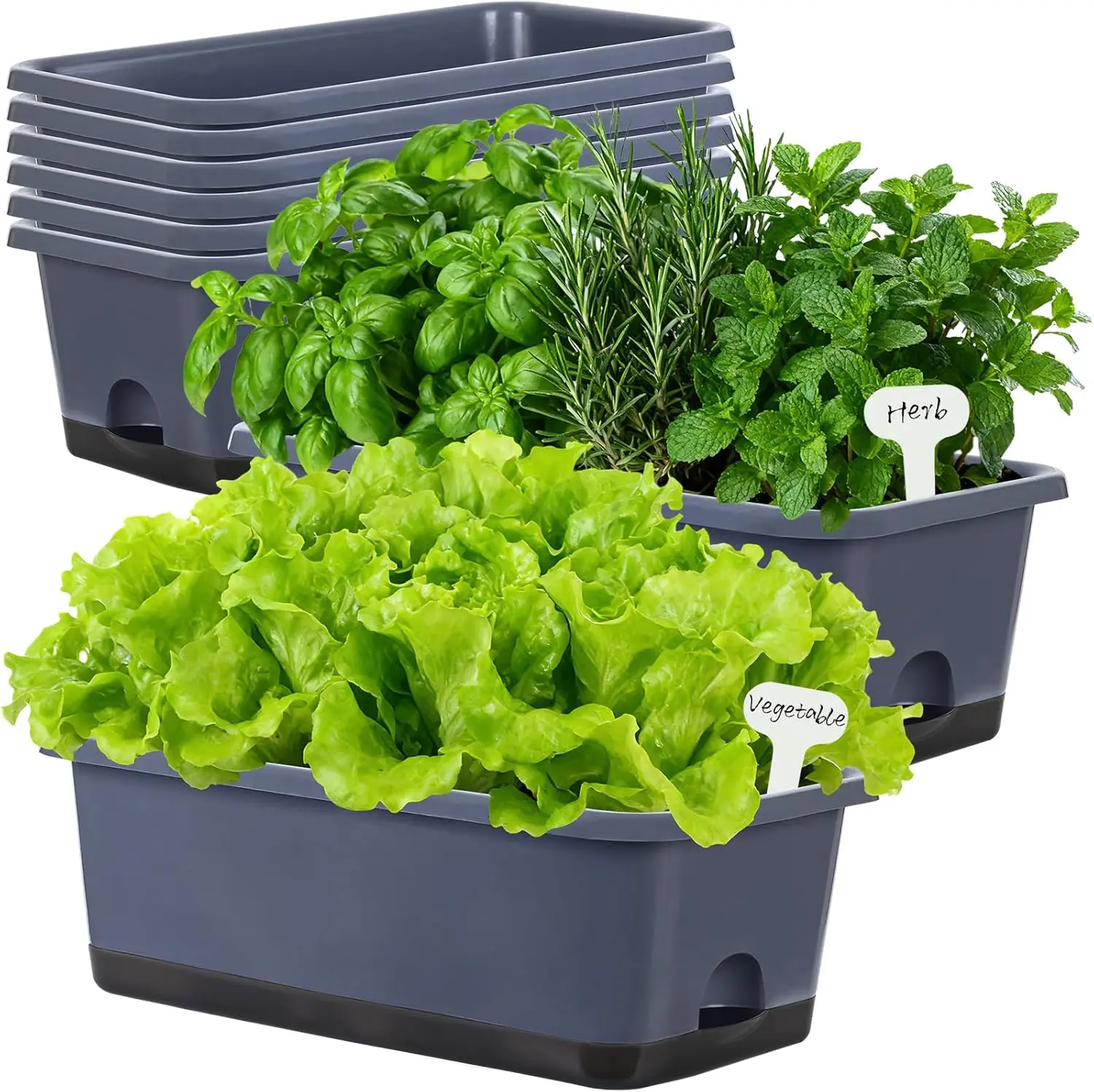 8-Piece Grey Window Box Planters with Drainage Holes and Trays, Ideal for Indoor Outdoor Garden Use
8-Piece Grey Window Box Planters with Drainage Holes and Trays, Ideal for Indoor Outdoor Garden Use