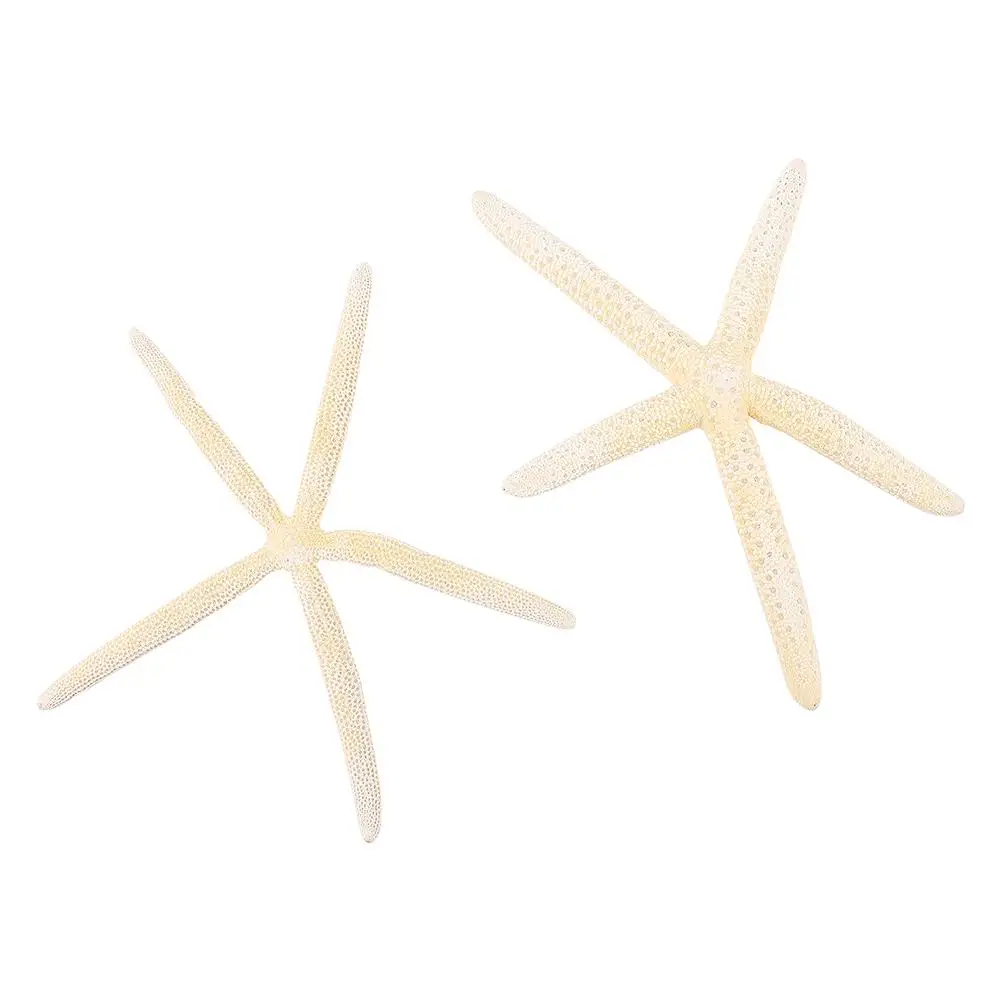 2Pcs Natural Star Ornament Decorative Craft Decoration Sea Star Prop White Wedding Party Windchimes Hanging
2Pcs Natural Star Ornament Decorative Craft Decoration Sea Star Prop White Wedding Party Windchimes Hanging