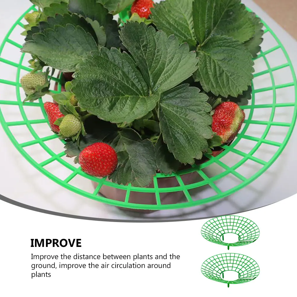 2Pcs Strawberry Planting Rack Plastic Growing Stand Vegetable Trellis Support Plant Frame Gardening Supply Climbing Bracket
2Pcs Strawberry Planting Rack Plastic Growing Stand Vegetable Trellis Support Plant Frame Gardening Supply Climbing Bracket