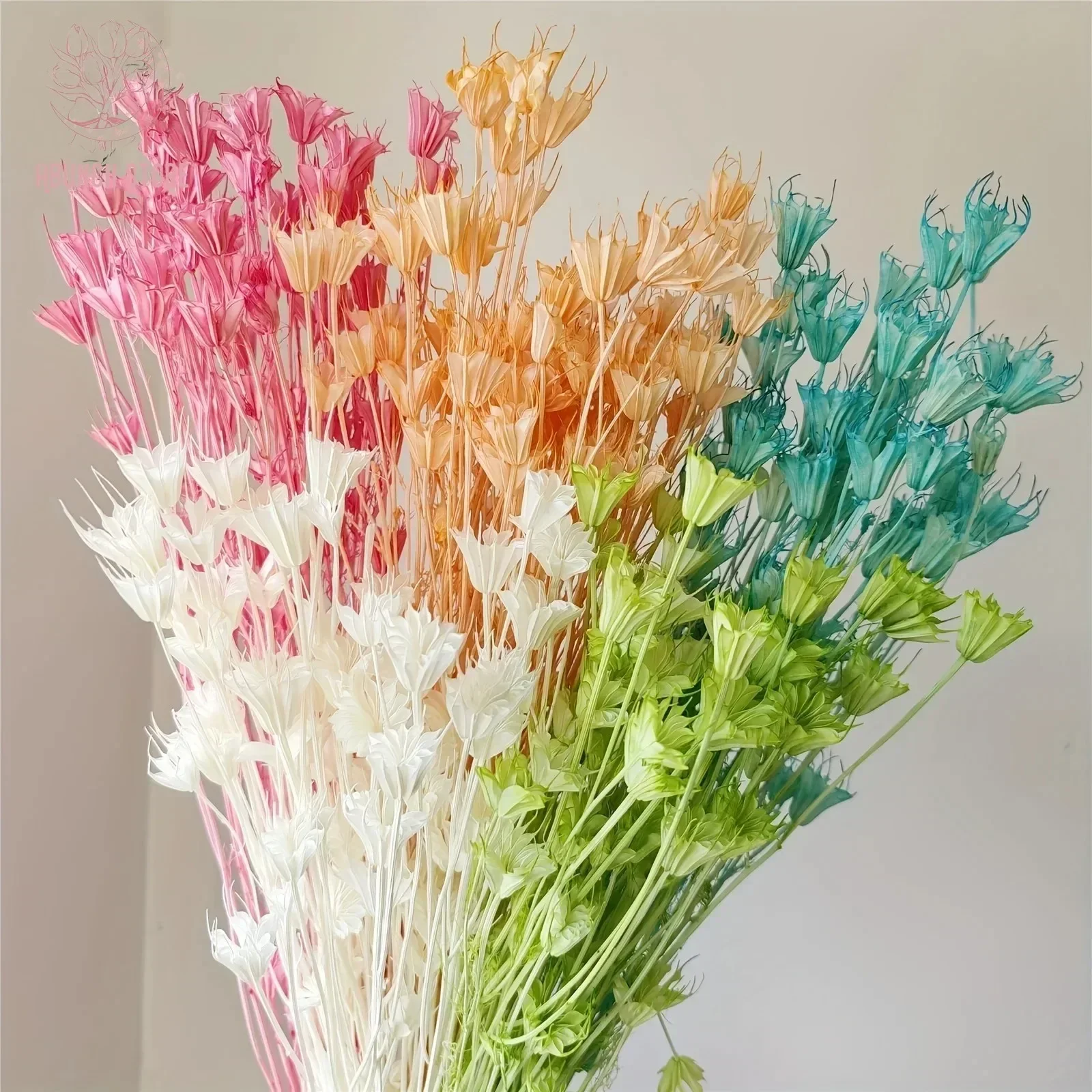 40g Natural Star Anise Dried Flowers Wedding DIY Floral Arrangement Supplies Christmas Bouquet Home Bedroom Autumn Decorations
40g Natural Star Anise Dried Flowers Wedding DIY Floral Arrangement Supplies Christmas Bouquet Home Bedroom Autumn Decorations