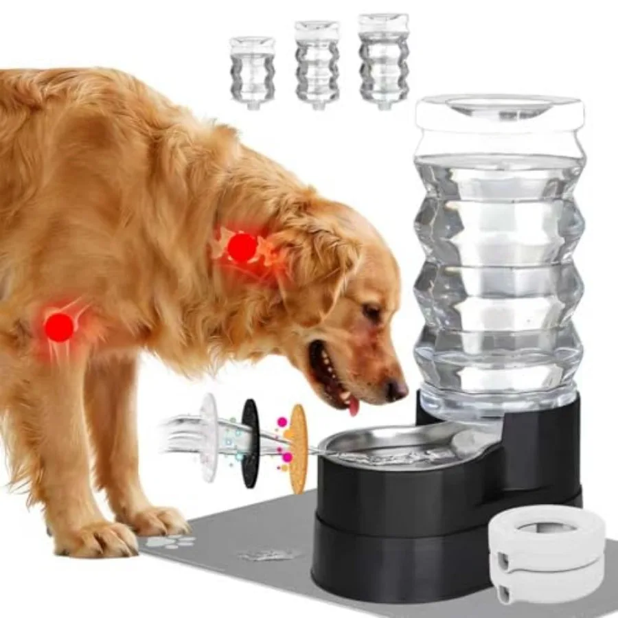 Gravity Dog Water Dispenser - Ion Exchange and Filtration, Raised Base for Senior Dogs, Spill-Resistant, Includes 2 Filters and
Gravity Dog Water Dispenser - Ion Exchange and Filtration, Raised Base for Senior Dogs, Spill-Resistant, Includes 2 Filters and