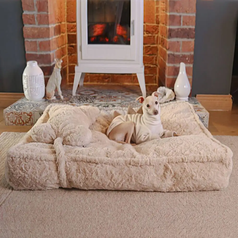 Pet Pad With Pillow Cute Soft Warming Fluffy Calming Dog Beds Cozy Dog Kennel Pillow Washable Dog Bed
Pet Pad With Pillow Cute Soft Warming Fluffy Calming Dog Beds Cozy Dog Kennel Pillow Washable Dog Bed