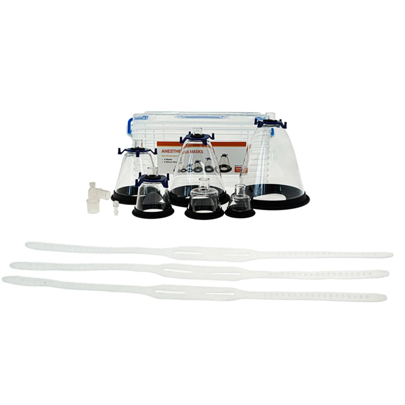 Veterinary Anesthesia Mask Set For Cat Dog Bird Snake Rat Animal With Free Intubation Mask Clinic Hospital Supplies
Veterinary Anesthesia Mask Set For Cat Dog Bird Snake Rat Animal With Free Intubation Mask Clinic Hospital Supplies