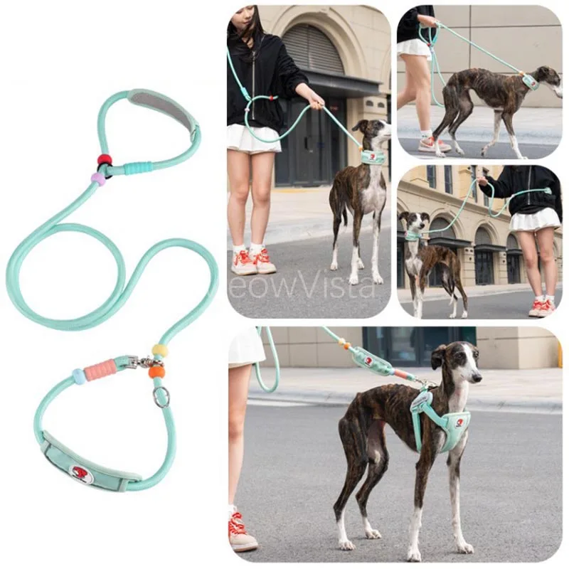 Multifunctional Anti-Choke Dog Leash Soft Padded Adjustable P-Style Slip Lead Reflective Training Leash for Medium Large Dogs
Multifunctional Anti-Choke Dog Leash Soft Padded Adjustable P-Style Slip Lead Reflective Training Leash for Medium Large Dogs