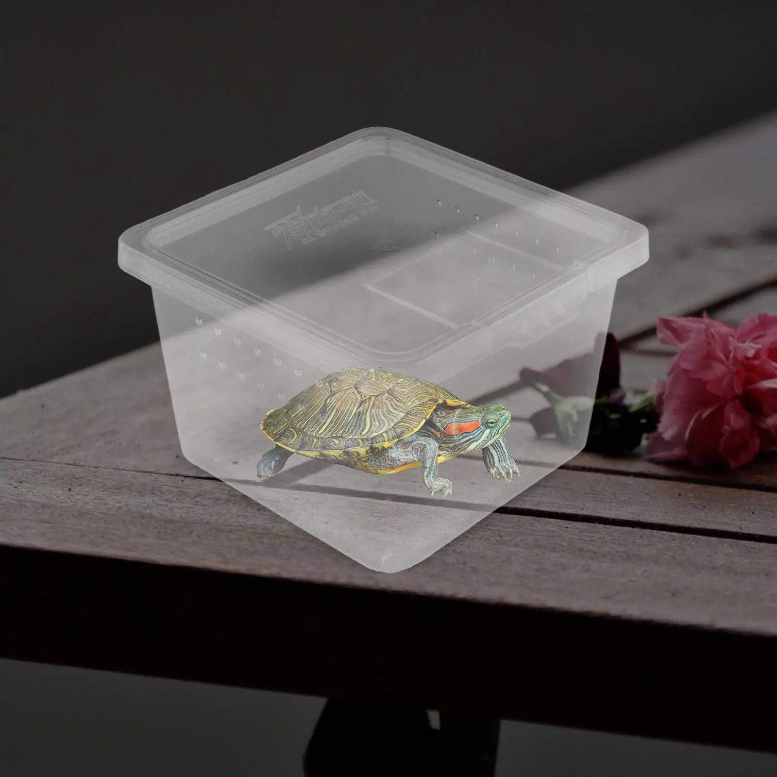 10pcs Reptile Breeding Box Small Terrarium For Turtles Lizards Spiders Geckos Indoor Pet Enclosure Transparent Escape-Proof Easy
10pcs Reptile Breeding Box Small Terrarium For Turtles Lizards Spiders Geckos Indoor Pet Enclosure Transparent Escape-Proof Easy