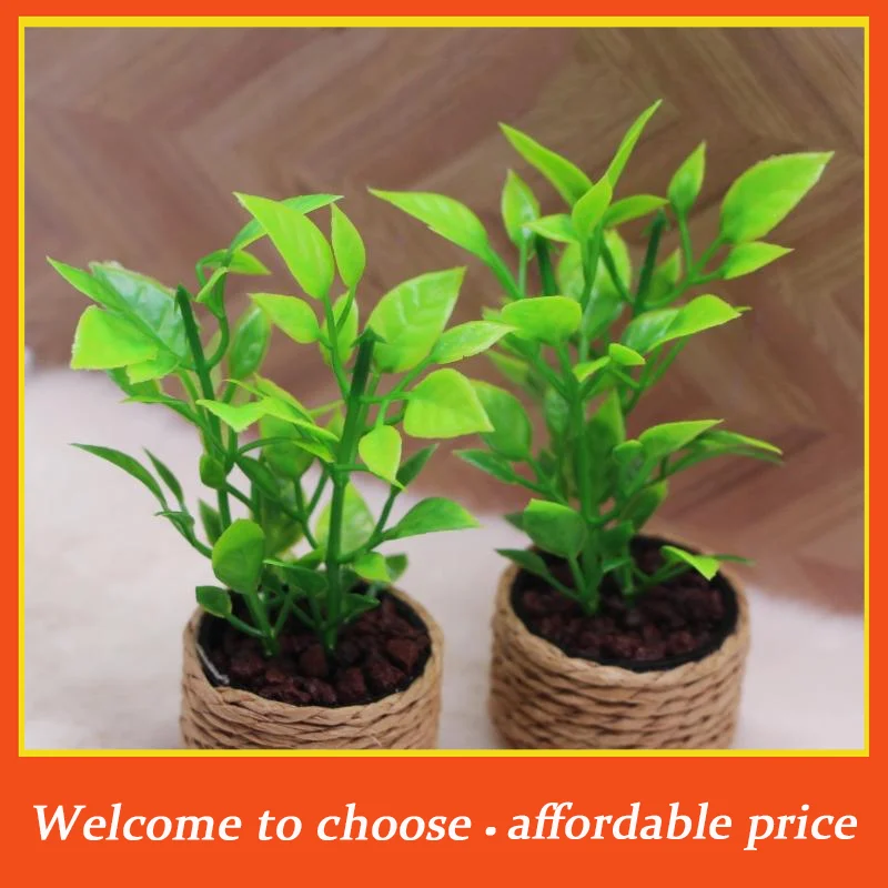 TH 1Pcs Home Garden Furniture Decor Toy 1:12 Dollhouse Miniature Orange Tree Potted Green Potted Plants Model
TH 1Pcs Home Garden Furniture Decor Toy 1:12 Dollhouse Miniature Orange Tree Potted Green Potted Plants Model
