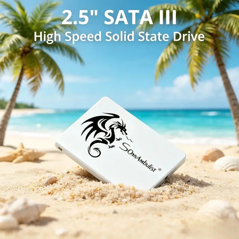 2.5 Inch SATA3 Exquisite SomnAmbulist SSD, Diverse Memory Options, Swift High Performance Solid State Drive for PC Laptop
2.5 Inch SATA3 Exquisite SomnAmbulist SSD, Diverse Memory Options, Swift High Performance Solid State Drive for PC Laptop