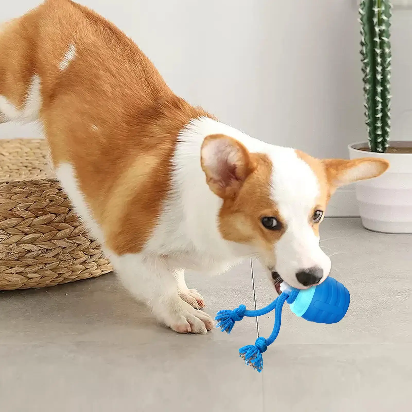 Игрушка для движущегося кошки, электрическое обогащение, катящийся шарик для собаки, для предотвращения скуки, дома, гостиной, путешествий, послеоперационной активности
Игрушка для движущегося кошки, электрическое обогащение, катящийся шарик для собаки, для предотвращения скуки, дома, гостиной, путешествий, послеоперационной активности