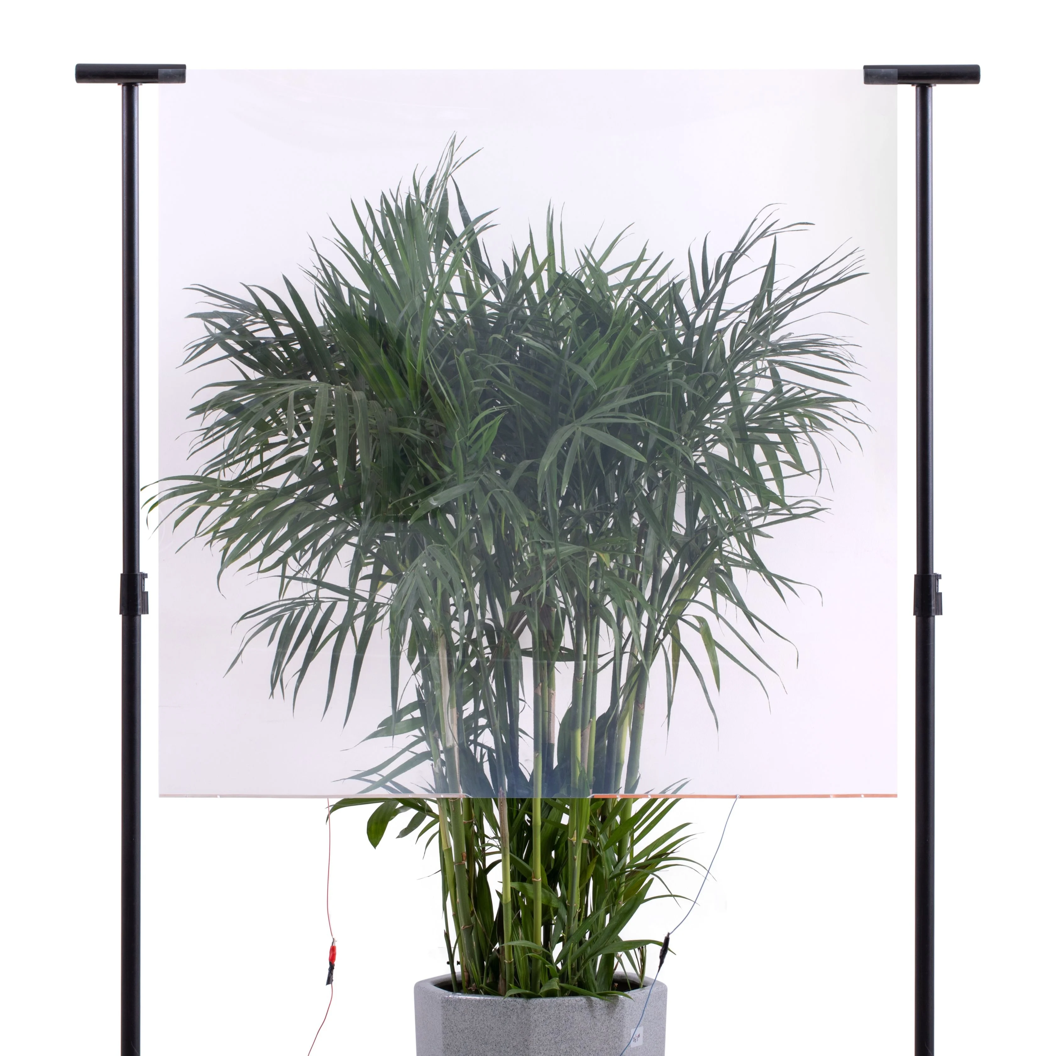 Tint Smart Laminated Glass PDLC Smart Film Car Self-adhesive Customizable Electronic Switchable Colorful Smart Film
Tint Smart Laminated Glass PDLC Smart Film Car Self-adhesive Customizable Electronic Switchable Colorful Smart Film