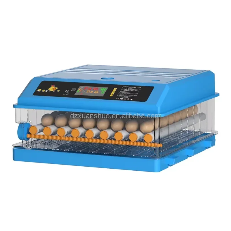 XUSHENG Mini Incubator for Chicken Duck Eggs with 64 128 192 Capacity Automatic Egg Turning 98 Hatching Rate Dual Power
XUSHENG Mini Incubator for Chicken Duck Eggs with 64 128 192 Capacity Automatic Egg Turning 98 Hatching Rate Dual Power