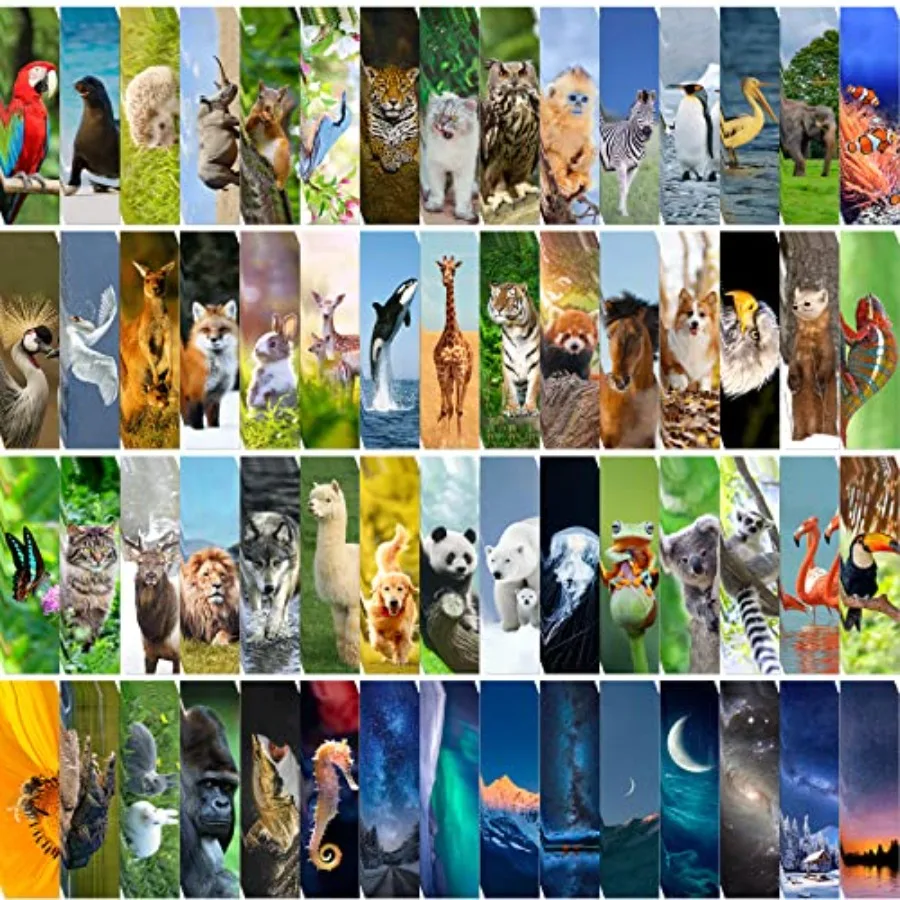300PCS Animal Bulk Bookmarks for Classroom 60 Designs Cool Wildlife Bookmark Cute Book Mark Double Sided Bookmark for Book Love
300PCS Animal Bulk Bookmarks for Classroom 60 Designs Cool Wildlife Bookmark Cute Book Mark Double Sided Bookmark for Book Love