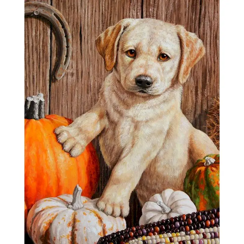 GATYZTORY Diy Painting By Numbers With Frame Pumpkin Dog Acrylic Paint On Canvas Picture By Numbers For Adults Starter Kits
GATYZTORY Diy Painting By Numbers With Frame Pumpkin Dog Acrylic Paint On Canvas Picture By Numbers For Adults Starter Kits