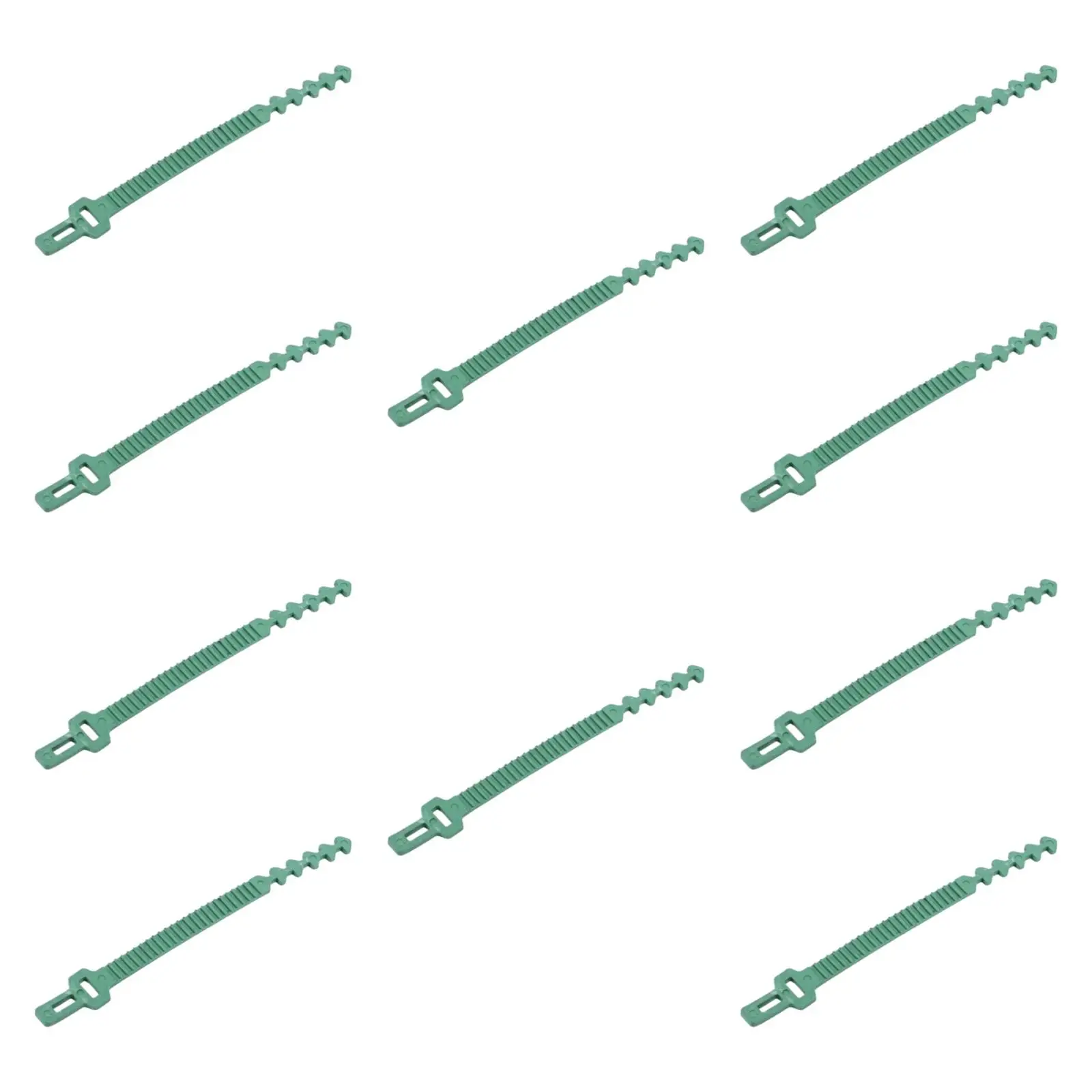 10x Garden Plant Ties Gardening Tools Reusable Multifunctional Flexible Tree
10x Garden Plant Ties Gardening Tools Reusable Multifunctional Flexible Tree