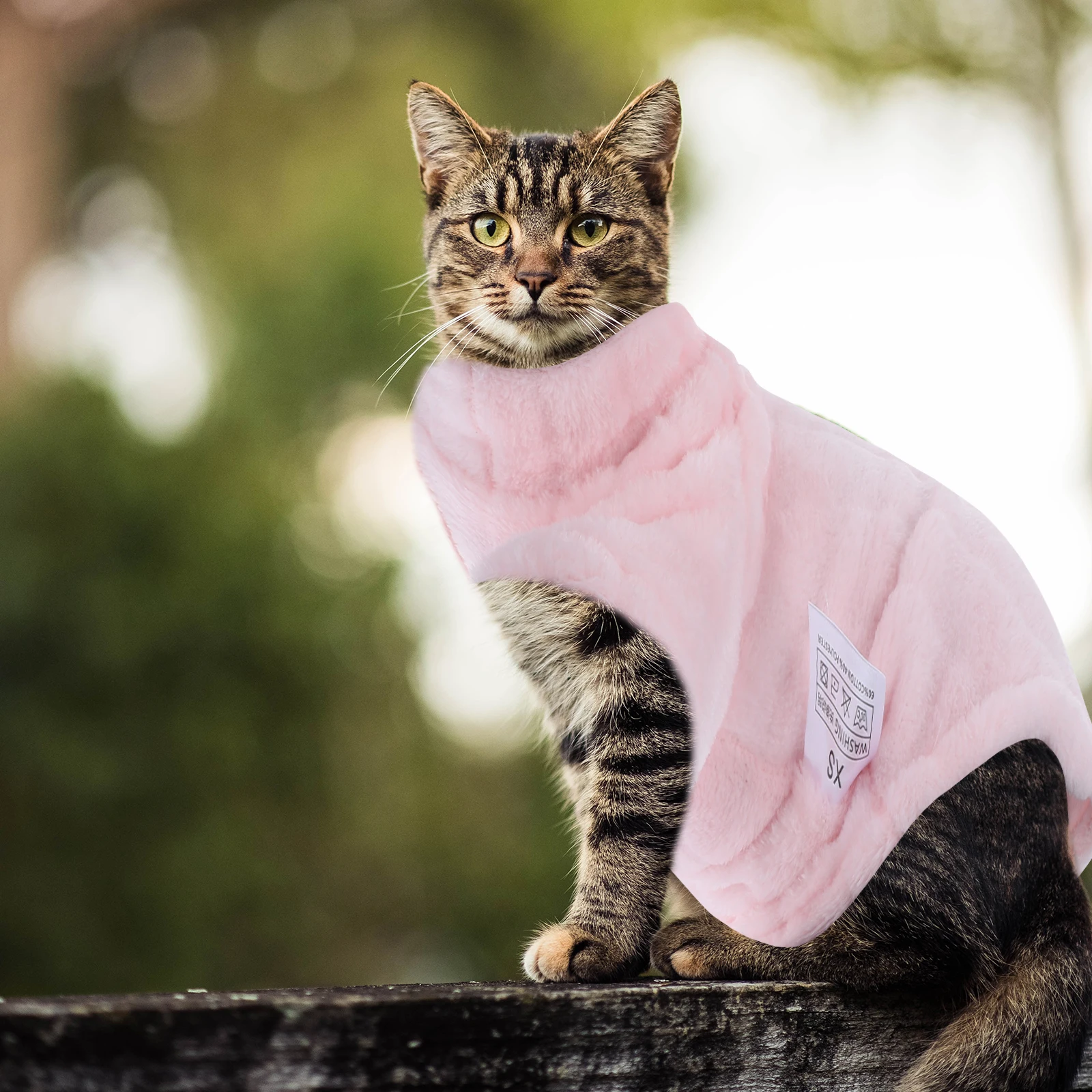 Warm High-Neck Winter Cat Dog Coat Reusable Coral Fleece Pet Clothes Easy Wash Garment For Puppy Sphynx (L)
Warm High-Neck Winter Cat Dog Coat Reusable Coral Fleece Pet Clothes Easy Wash Garment For Puppy Sphynx (L)