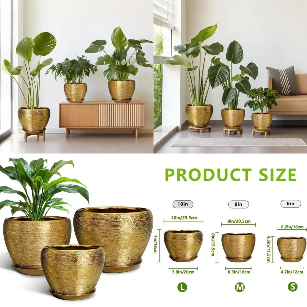 Набор из 3 декоративных кашпо: 10, 8 и 6 дюймов, с дренажными отверстиями и поддонами, для использования в помещении и на улице
Набор из 3 декоративных кашпо: 10, 8 и 6 дюймов, с дренажными отверстиями и поддонами, для использования в помещении и на улице