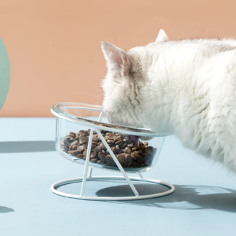 Pet Cat Bowl Glass with Metal Stand and Mat Transparent Kitten Puppy Food Feeding Dish Elevated Water Feeder Small Dog Supplies
Pet Cat Bowl Glass with Metal Stand and Mat Transparent Kitten Puppy Food Feeding Dish Elevated Water Feeder Small Dog Supplies