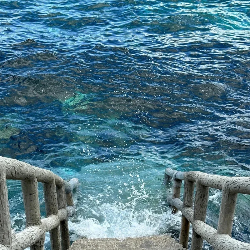 JX B40 40 кг 8,4 В бесщеточный высокий крутящий момент с коротким корпусом цельнометаллический сервопривод 1/8 1/10 автомобильный сервопривод с дистанционным управлением RC
JX B40 40 кг 8,4 В бесщеточный высокий крутящий момент с коротким корпусом цельнометаллический сервопривод 1/8 1/10 автомобильный сервопривод с дистанционным управлением RC