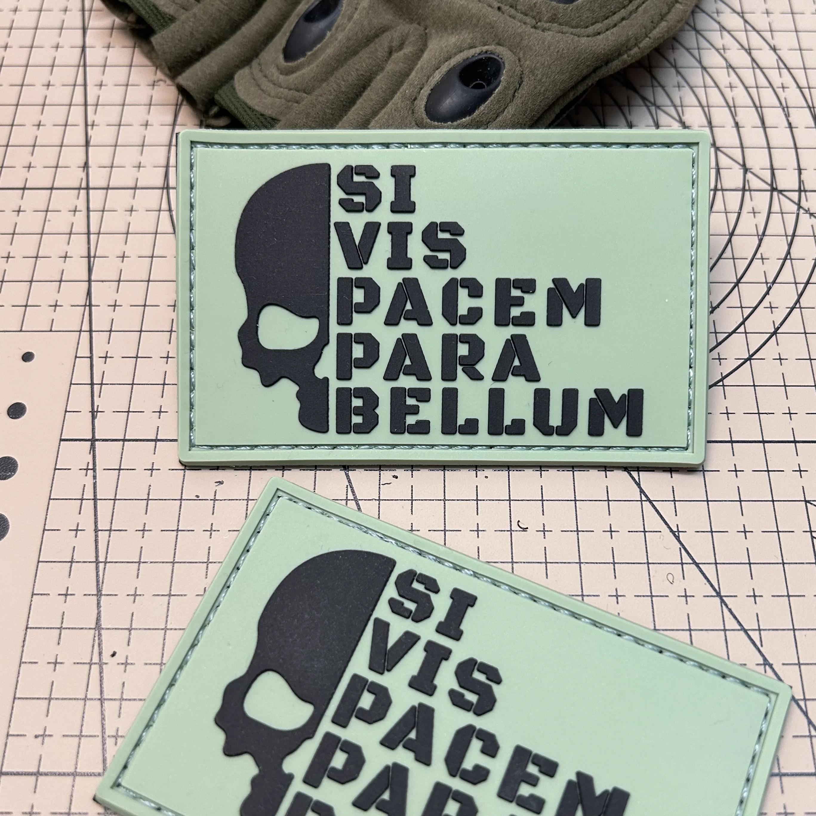 Si Vis Pacem Para Bellum PVC Patch, Tactical Morale Badge with Hook & Loop for Tactical Gear
Si Vis Pacem Para Bellum PVC Patch, Tactical Morale Badge with Hook & Loop for Tactical Gear