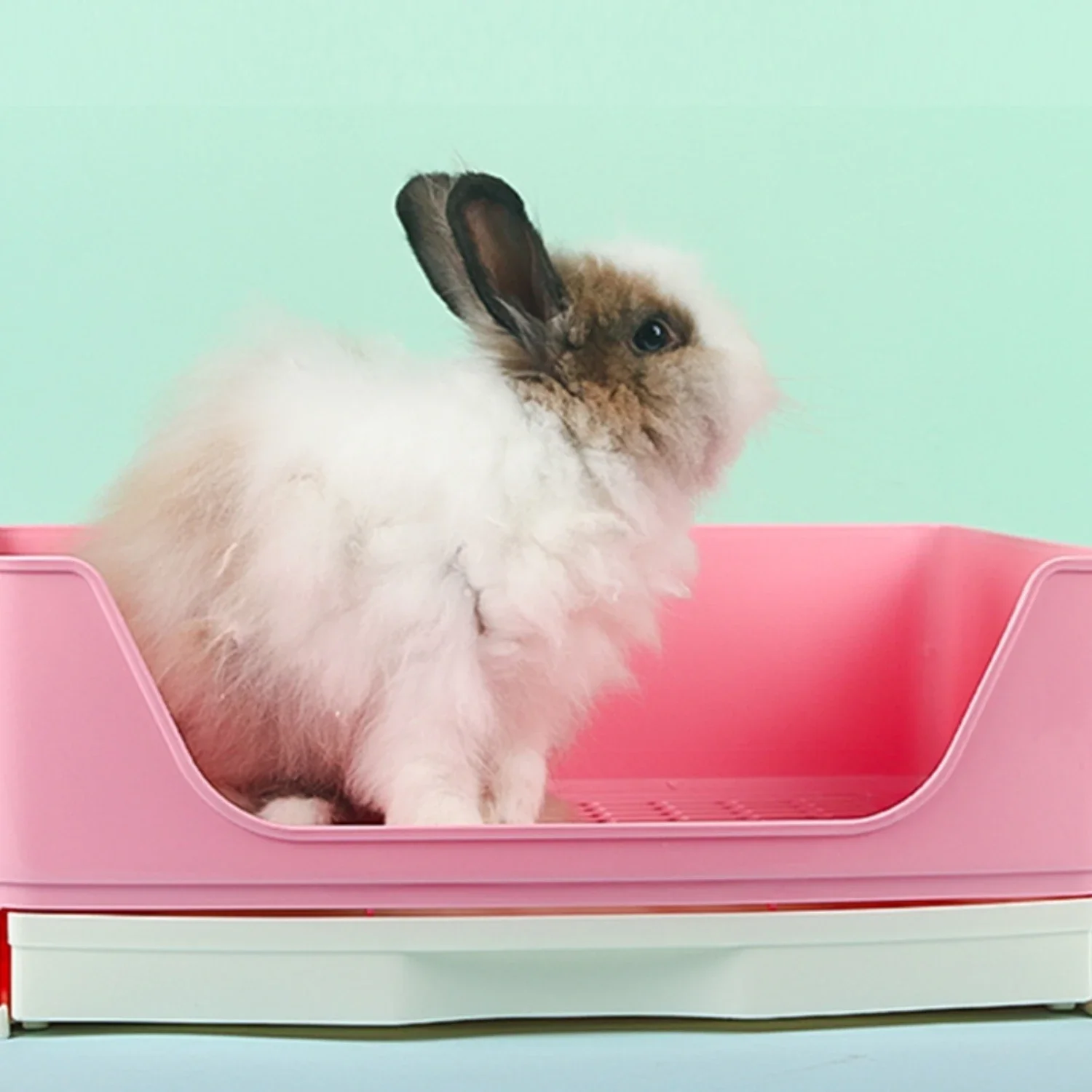 Top-Quality, Large, and Spacious Rabbit House Toilet for Guinea Pigs, Chinchilla, and Ferrets - Must-Have Convenient Easy-to-Use
Top-Quality, Large, and Spacious Rabbit House Toilet for Guinea Pigs, Chinchilla, and Ferrets - Must-Have Convenient Easy-to-Use
