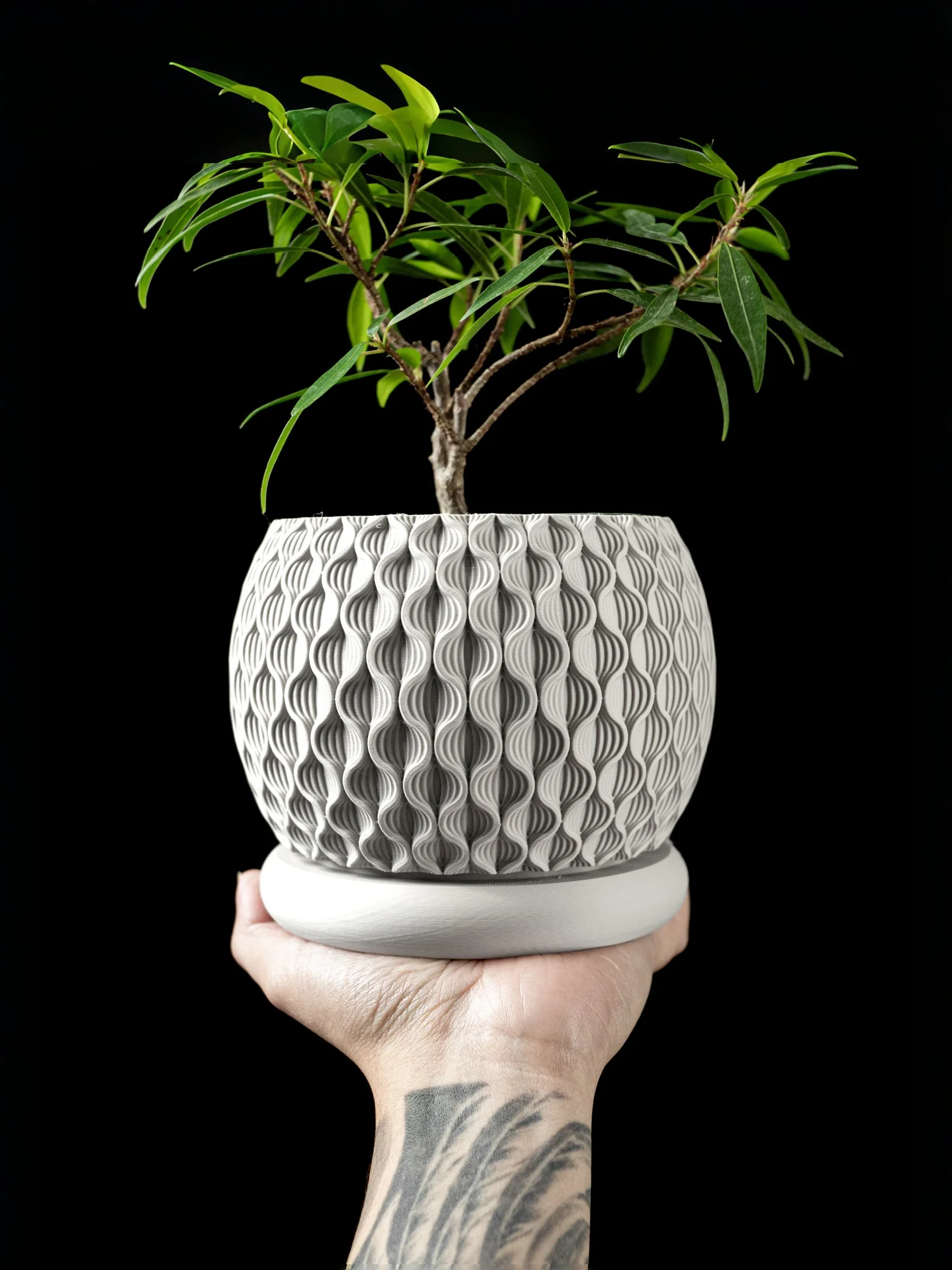 Modern Minimalist 3D Printed Plant Pot – Biodegradable Flower Planter for Home Decor, Eco-Friendly Sustainable Gift ( Bloom)
Modern Minimalist 3D Printed Plant Pot – Biodegradable Flower Planter for Home Decor, Eco-Friendly Sustainable Gift ( Bloom)