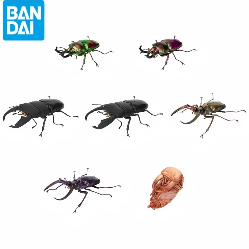 Горячая Bandai Stag Beetle Gashapon No 10 - Радужный жизненный цикл, модель насекомого, реалистичная игрушка на стебле, классическая коллекционная фигурка животного 
Горячая Bandai Stag Beetle Gashapon No 10 - Радужный жизненный цикл, модель насекомого, реалистичная игрушка на стебле, классическая коллекционная фигурка животного