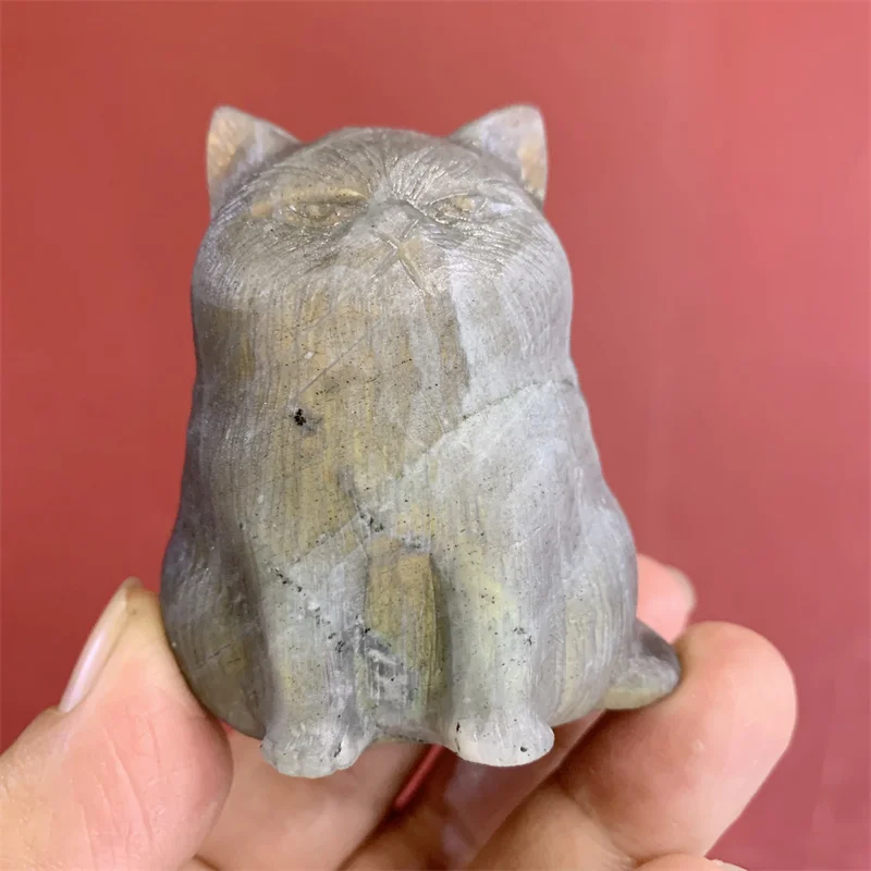 8cm Natural Labradorite Crystal Cartoon Cat Carving Animal DIY Jewelry Making Accessories Home Decorations Statues 1pcs
8cm Natural Labradorite Crystal Cartoon Cat Carving Animal DIY Jewelry Making Accessories Home Decorations Statues 1pcs