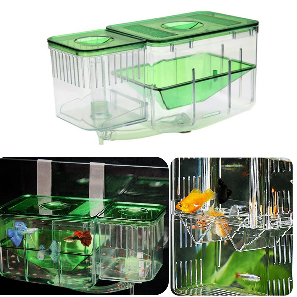 Pet Hatchery Isolation Mesh Box Fish Breeding Incubator Hanging Net Separate Container Aquarium Supplies
Pet Hatchery Isolation Mesh Box Fish Breeding Incubator Hanging Net Separate Container Aquarium Supplies