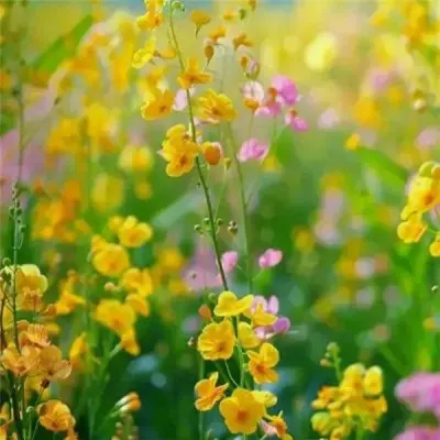 MN 1/12 MN168 Metal Portal Axle Kit Front and Rear Axle Assembly 12mm Adapter For RC Car Upgrade Parts
MN 1/12 MN168 Metal Portal Axle Kit Front and Rear Axle Assembly 12mm Adapter For RC Car Upgrade Parts