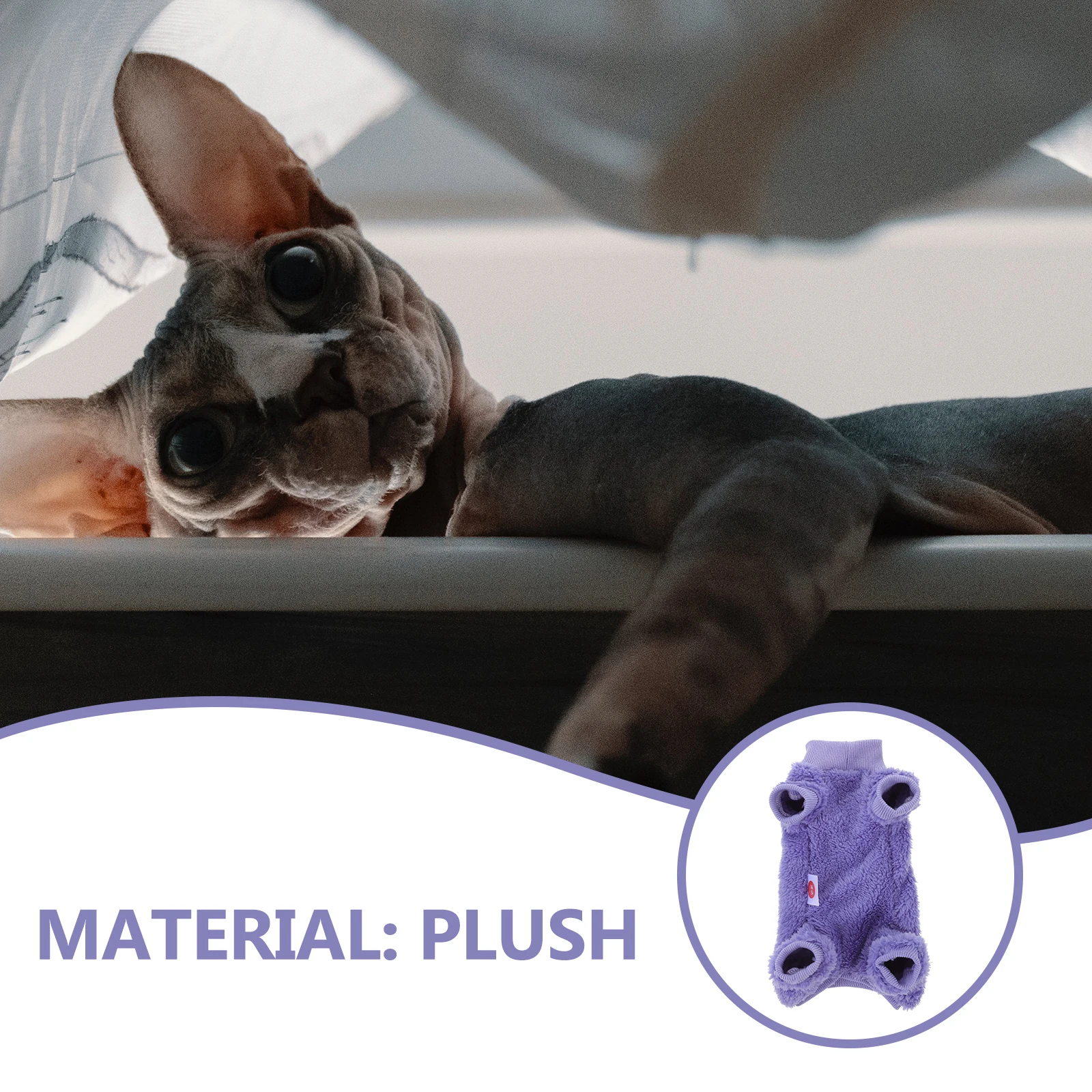 Sphynx Cats Winter Purple XS Double Faced Velvet Warm Cozy Costume Small Dogs Cats Daily Clothes For Sphynx Photo
Sphynx Cats Winter Purple XS Double Faced Velvet Warm Cozy Costume Small Dogs Cats Daily Clothes For Sphynx Photo