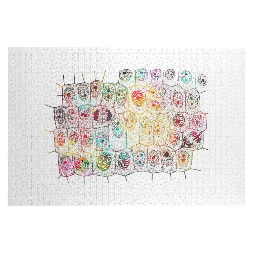 Mitosis Jigsaw Puzzle Toys For Children Personalized Gift Ideas Wooden Name Custom Personalized Puzzle
Mitosis Jigsaw Puzzle Toys For Children Personalized Gift Ideas Wooden Name Custom Personalized Puzzle