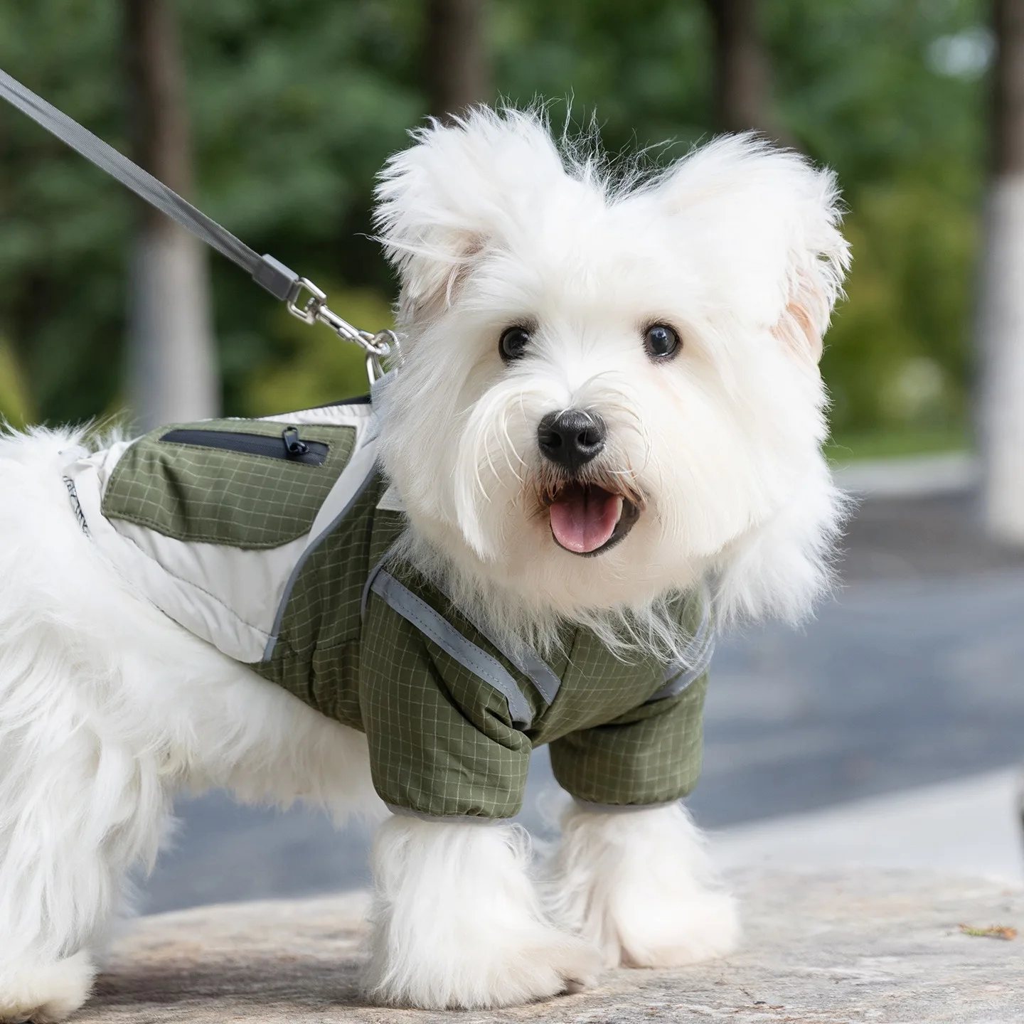 Dog Outdoor Winter Coat Thickened Two-legged Dog Clothes Fashionable Plaid Teddy Warm Jacket with Traction Buckle
Dog Outdoor Winter Coat Thickened Two-legged Dog Clothes Fashionable Plaid Teddy Warm Jacket with Traction Buckle