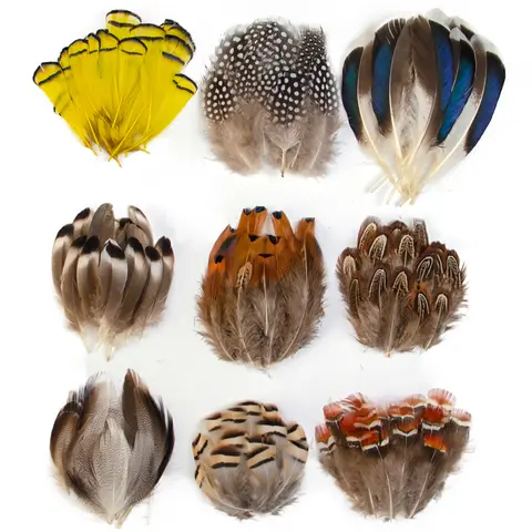 Wholesale Natural Peacock Pheasant Chicken Feathers Bulk 3-15cm for DIY Craft Jewelry Earring Wedding Dream catcher Plumes Decor