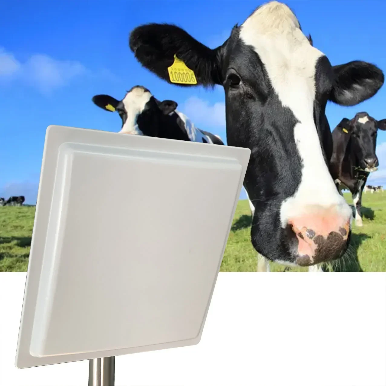 integrated cattle cattle 900Mhz long range waterproof tag and livestock animal id rfid reader 860 960 mhz UHF RFID reader
integrated cattle cattle 900Mhz long range waterproof tag and livestock animal id rfid reader 860 960 mhz UHF RFID reader