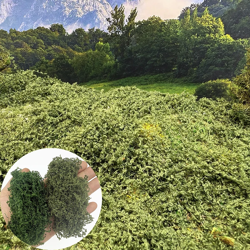 10G/bag Simulation vine model vegetation fake creeper model shrub micro landscape decoration material train railway layout
10G/bag Simulation vine model vegetation fake creeper model shrub micro landscape decoration material train railway layout