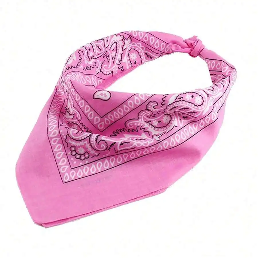6pcs Unisex Paisley Pattern Polyester Headscarf Pink Vintage Hip-Hop Street Style Outdoor Cycling Beach Travel Accessory
6pcs Unisex Paisley Pattern Polyester Headscarf Pink Vintage Hip-Hop Street Style Outdoor Cycling Beach Travel Accessory
