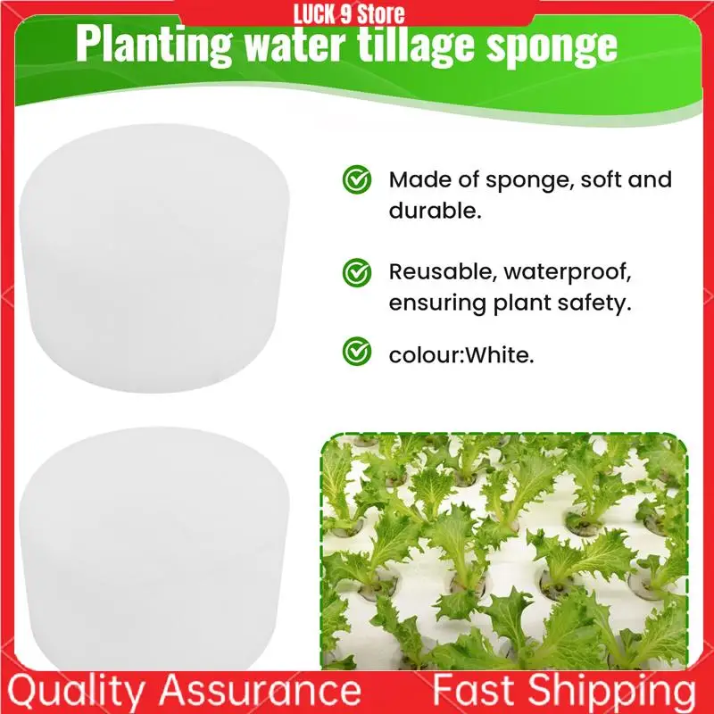 50 Pcs Hydroponic Sponge Overground, Soilless Hydroponics Vegetable Growing System Greenhouse Plant Gardening Tool 50Mm-AB52
50 Pcs Hydroponic Sponge Overground, Soilless Hydroponics Vegetable Growing System Greenhouse Plant Gardening Tool 50Mm-AB52