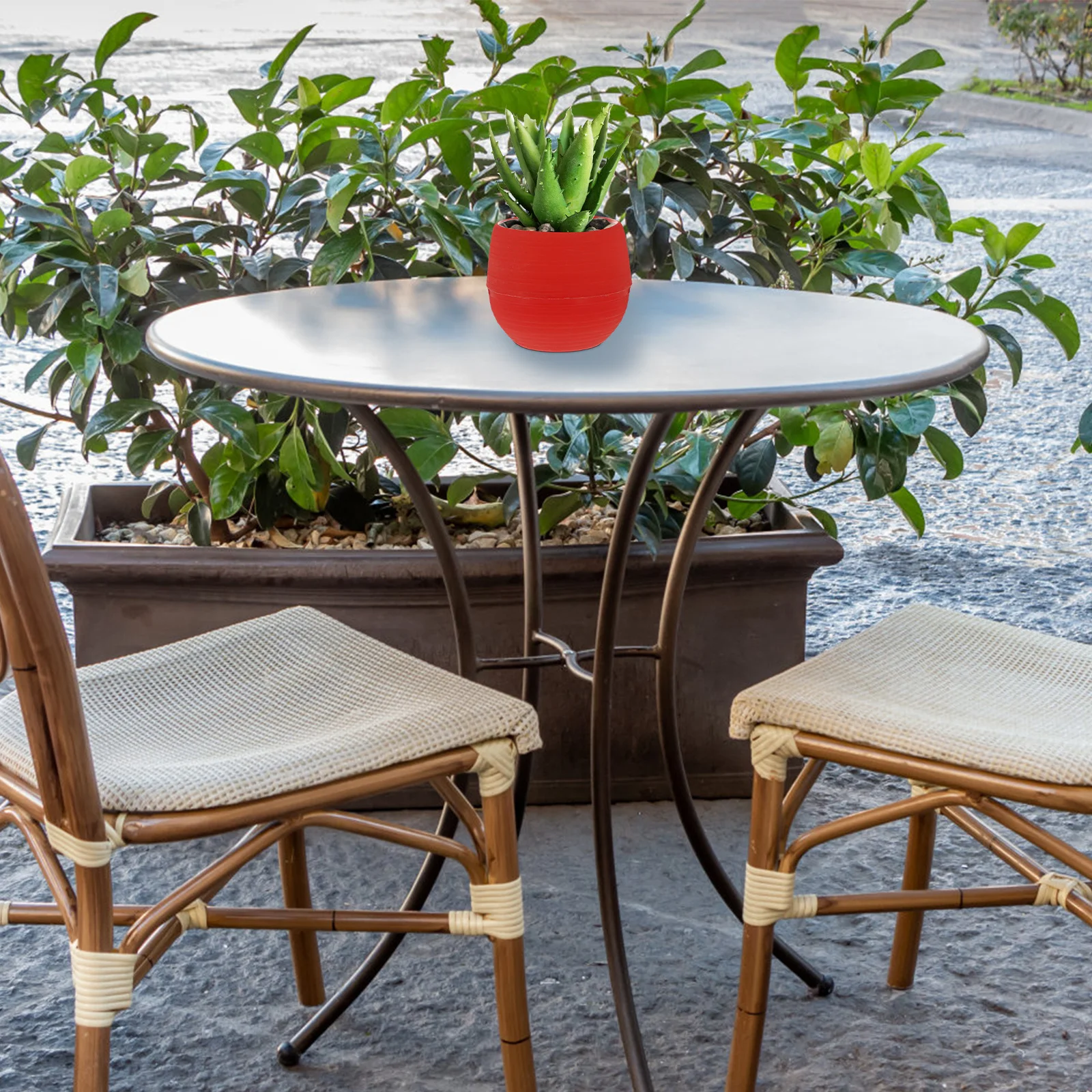 Mini Resin Succulent Flower Pot Wine Red Solid Office Decor Small Plant Container for Cactus Succulent Pots
Mini Resin Succulent Flower Pot Wine Red Solid Office Decor Small Plant Container for Cactus Succulent Pots