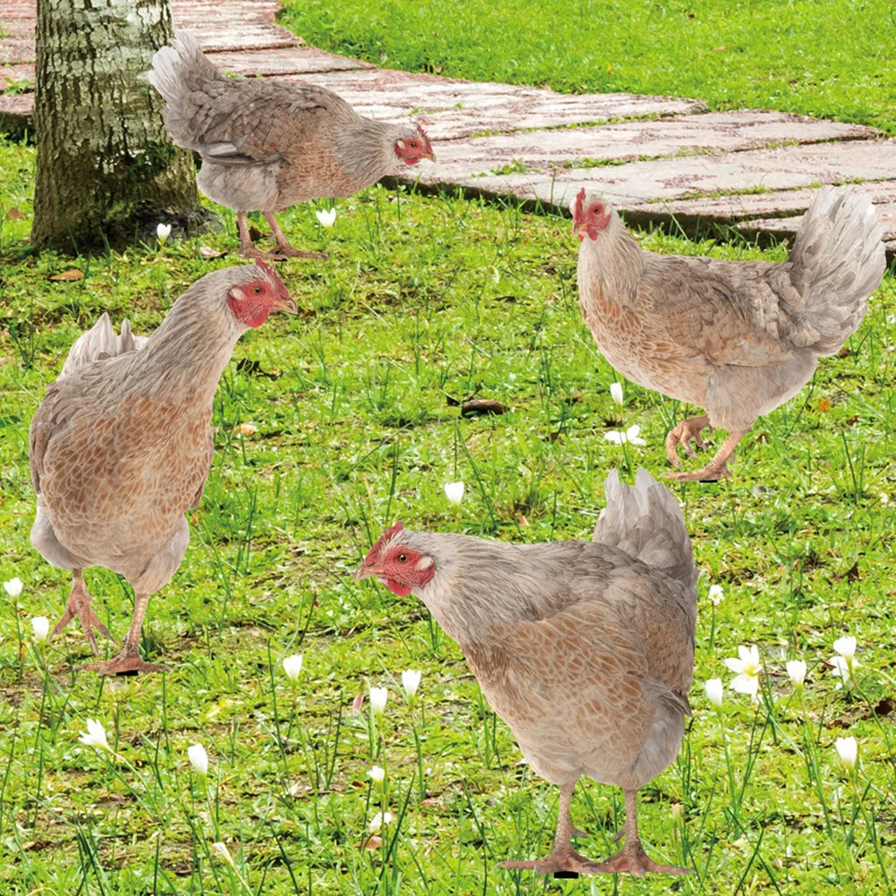 4Pcs Realistic Garden Hen Stake Acrylic Chicken Yard Insert for Outdoor Garden Decoration Lawn Ornament Courtyard Landscape Prop
4Pcs Realistic Garden Hen Stake Acrylic Chicken Yard Insert for Outdoor Garden Decoration Lawn Ornament Courtyard Landscape Prop