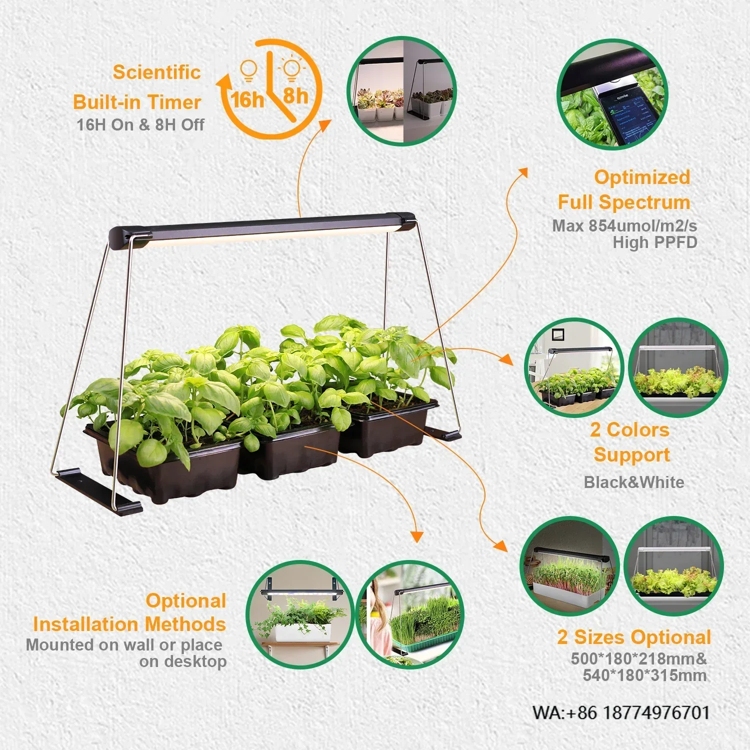 succulent microgreens herbs led growing garden
succulent microgreens herbs led growing garden