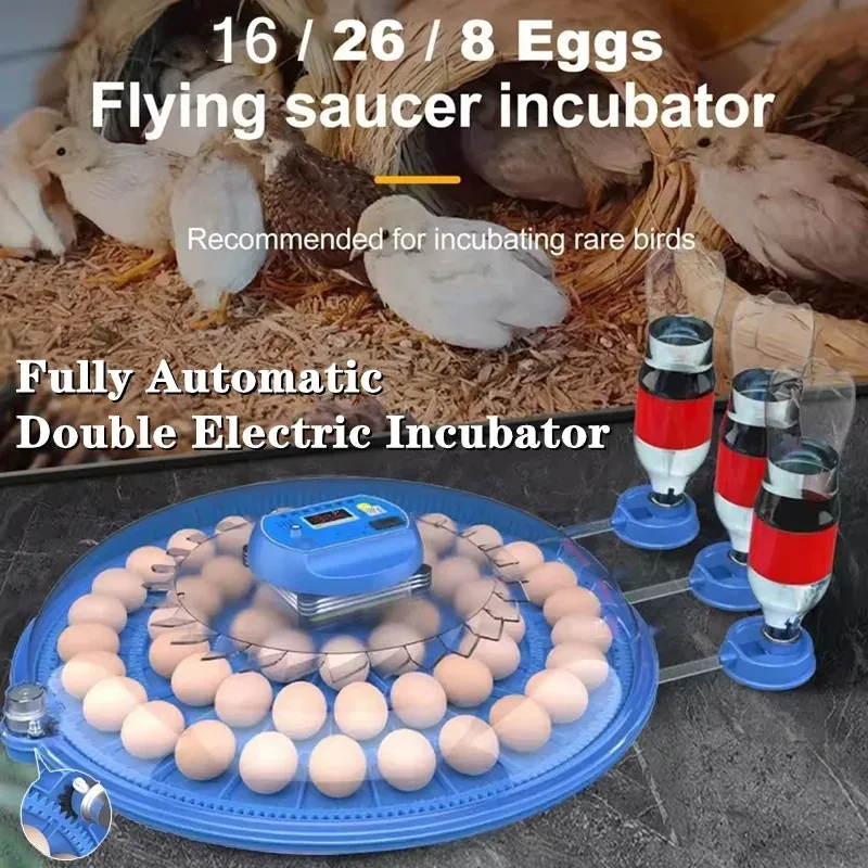 8/26 Eggs Incubator for Hatching Eggs Automatic Egg Turner 360 Degree View Farm Incubators for Chicken Duck Goose Quails Egg
8/26 Eggs Incubator for Hatching Eggs Automatic Egg Turner 360 Degree View Farm Incubators for Chicken Duck Goose Quails Egg