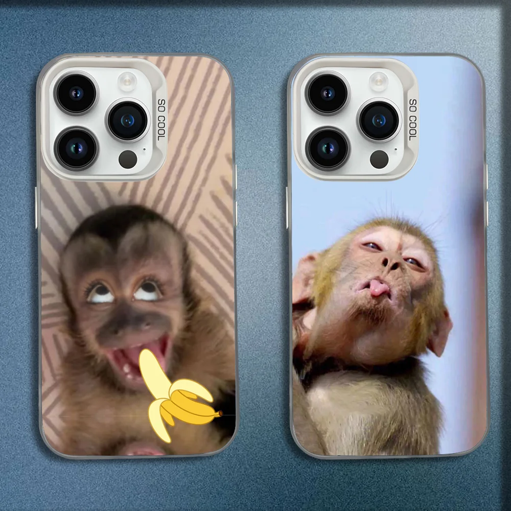 Cute Funny Monkey Music Phone Case For iPhone 16,15,14,13,12,11,Mini,Pro,E,MAX White Candy Matte Shockproof Cover
Cute Funny Monkey Music Phone Case For iPhone 16,15,14,13,12,11,Mini,Pro,E,MAX White Candy Matte Shockproof Cover