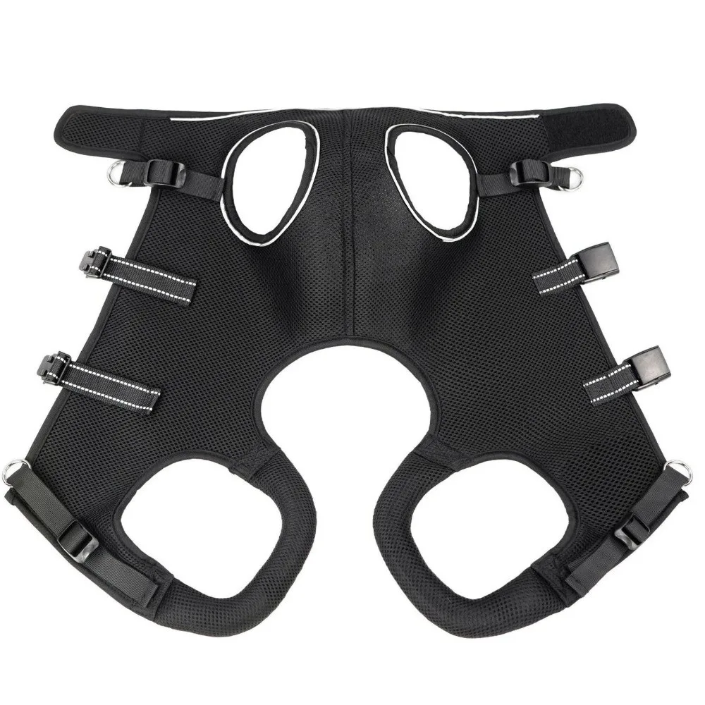 Adjustable Strap Dog Lift Harness Mobility Aid Comfortable Dog Assistance Strap Breathable Dog Walking Support Joint Injuries
Adjustable Strap Dog Lift Harness Mobility Aid Comfortable Dog Assistance Strap Breathable Dog Walking Support Joint Injuries
