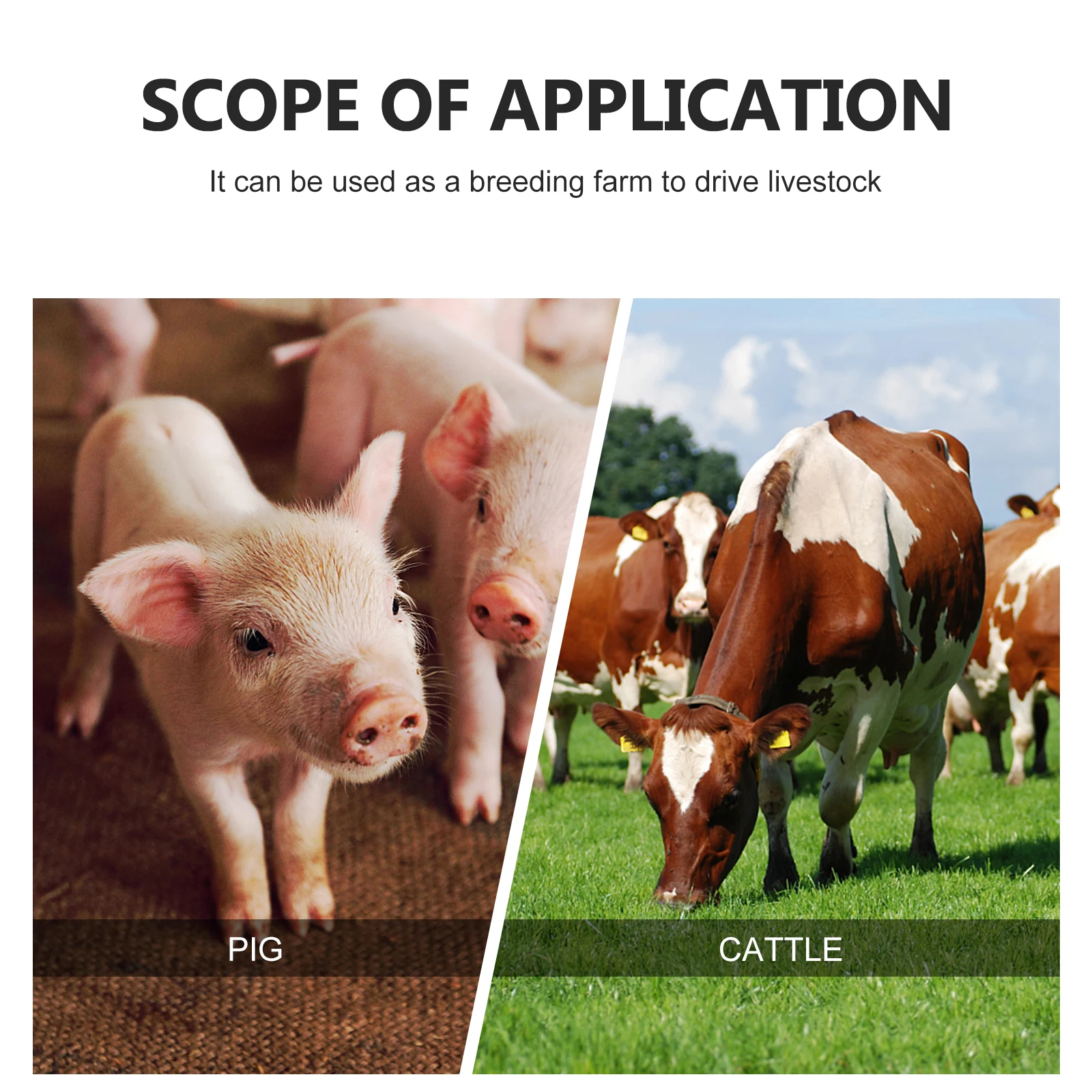 Pig Catching Tool Durable Farm Animal Equipment Beat Supplies Livestock Plastic Sponge Material Corrosion
Pig Catching Tool Durable Farm Animal Equipment Beat Supplies Livestock Plastic Sponge Material Corrosion