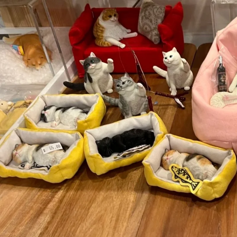 Jxk1/6 масштабный сонный кот, имитация издания, три цвета, кошки, окружающие мини-украшения, небольшой декоративный предмет, модная игрушка
Jxk1/6 масштабный сонный кот, имитация издания, три цвета, кошки, окружающие мини-украшения, небольшой декоративный предмет, модная игрушка