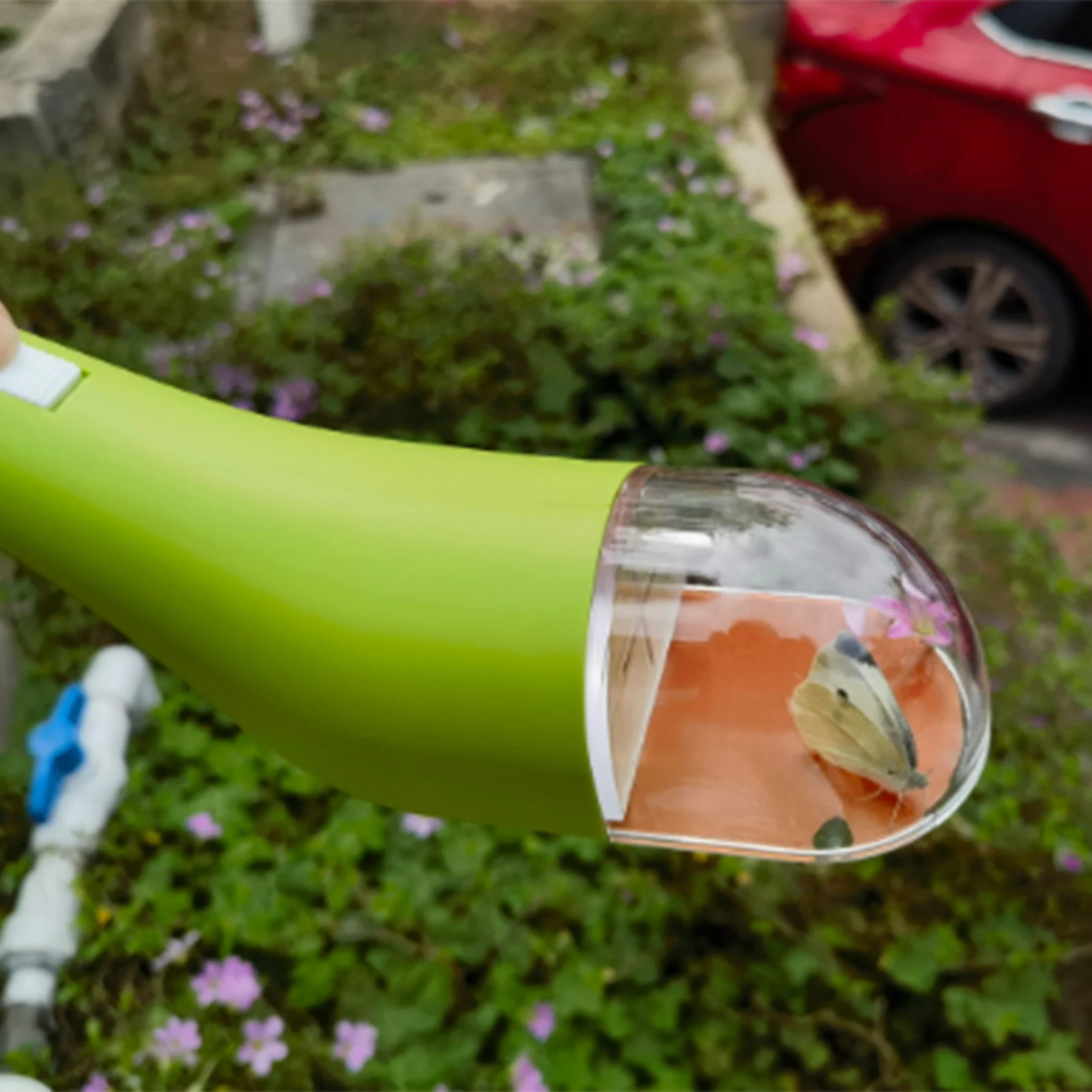 Insect Bug Catcher Insect Bug Box Contactless Release Insects Catching Tool Kids Toy Nature Exploration Toys
Insect Bug Catcher Insect Bug Box Contactless Release Insects Catching Tool Kids Toy Nature Exploration Toys