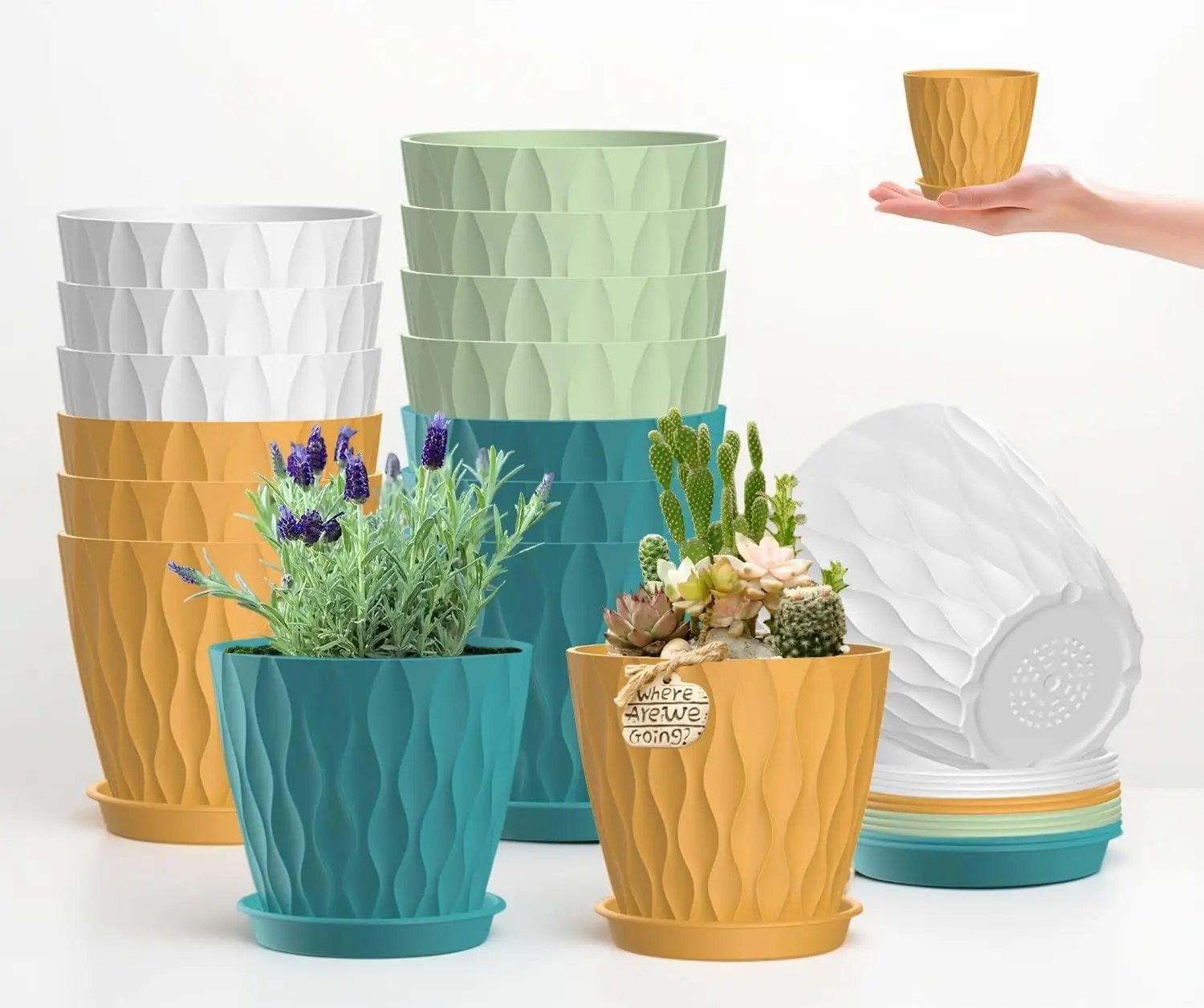 16 Pack 4 Inch Plastic Planter Pots with Tray, Heavy Duty Indoor Outdoor with 48 Drainage Holes for Herbs Succulents Seedlings
16 Pack 4 Inch Plastic Planter Pots with Tray, Heavy Duty Indoor Outdoor with 48 Drainage Holes for Herbs Succulents Seedlings