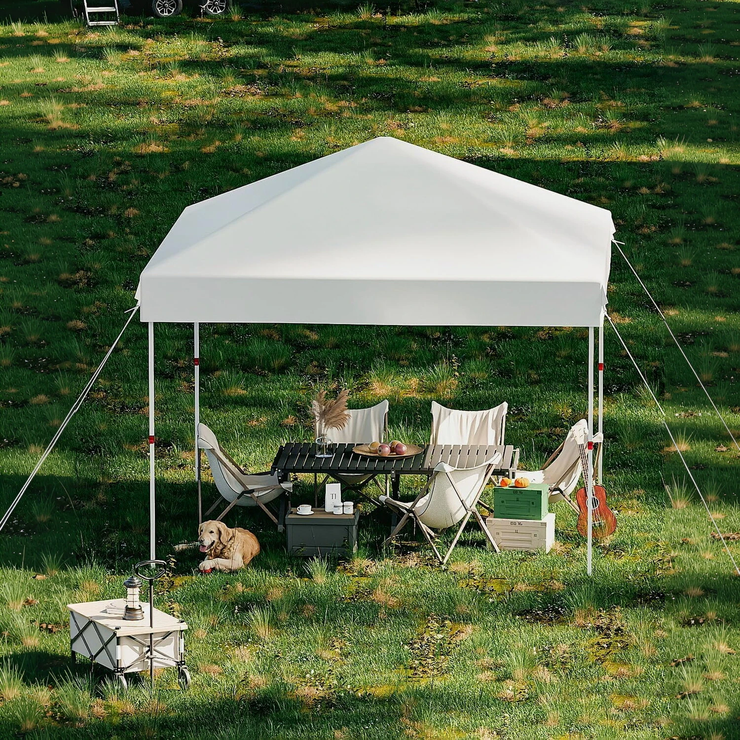 10X10FT Pop Up Canopy Outdoor Gazebos Instant Tent, Commercial Instant Shelter Tent, 3 Adjustable Heights Canopy with Wheeled Bag, Portable Gazebo Shelter for Patio, Deck, Garden, Beach, Camping
10X10FT Pop Up Canopy Outdoor Gazebos Instant Tent, Commercial Instant Shelter Tent, 3 Adjustable Heights Canopy with Wheeled Bag, Portable Gazebo Shelter for Patio, Deck, Garden, Beach, Camping
