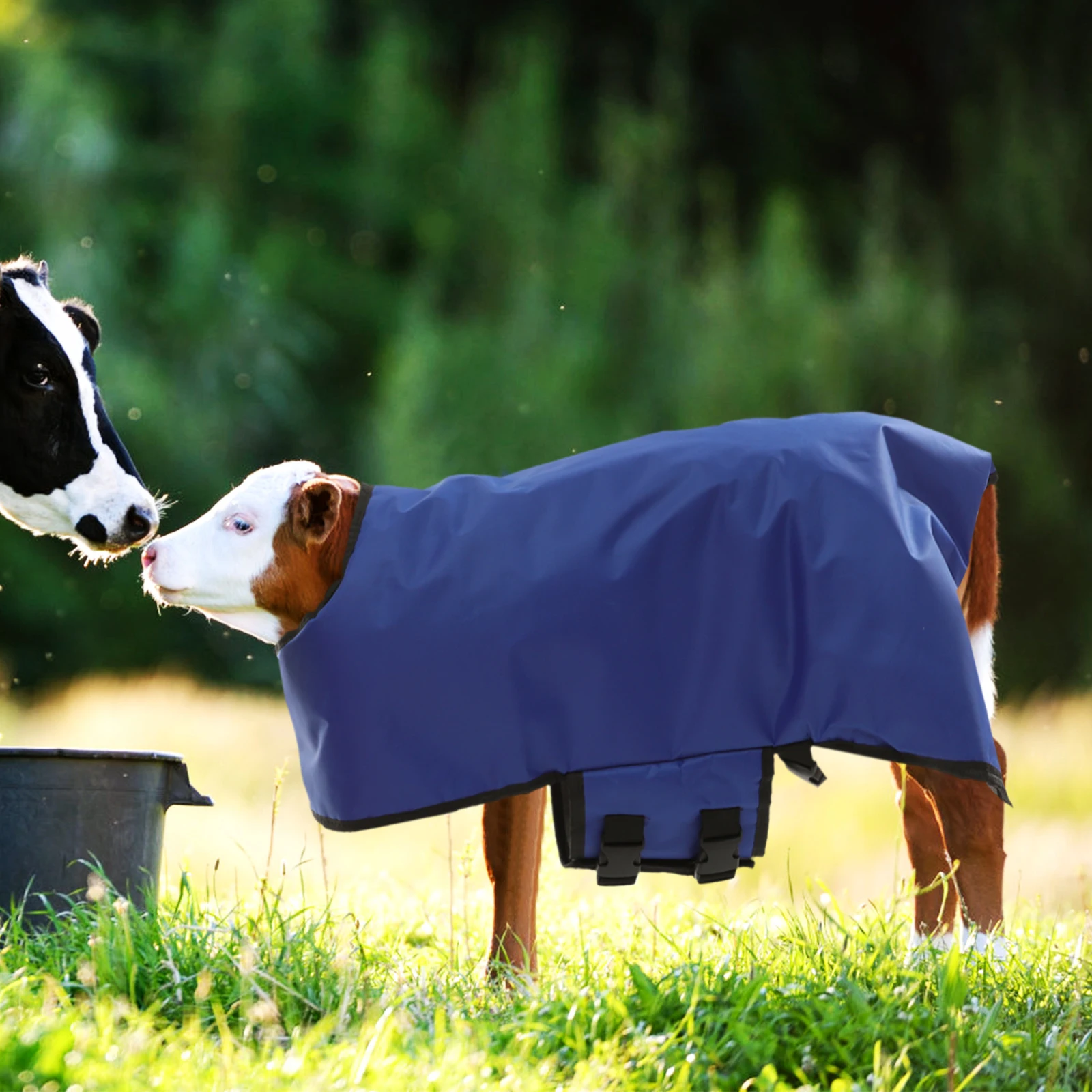 Calf Thermal Clothing Warm Vest Goat Coat Windproof Winter Flannel Thickened Clothes Calf Cow Warm Coat Winter Clothing
Calf Thermal Clothing Warm Vest Goat Coat Windproof Winter Flannel Thickened Clothes Calf Cow Warm Coat Winter Clothing